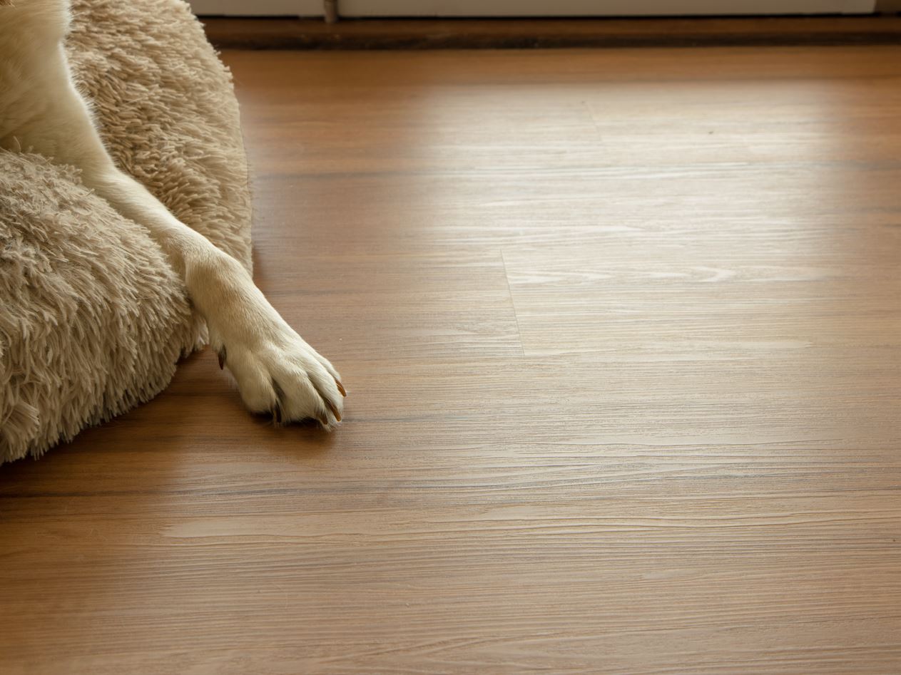 Choosing Pet Friendly Flooring