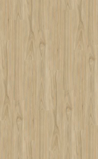 Natural Creations XL - Tasmanian Oak