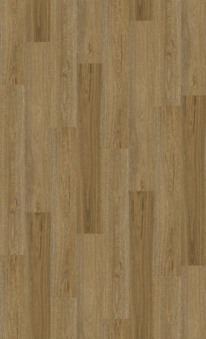 Natural Creations XL | Spotted Gum